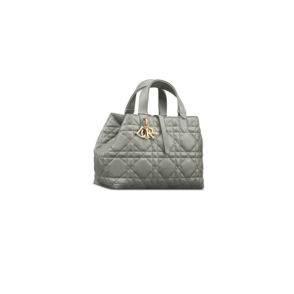 medium D*or toujours bag