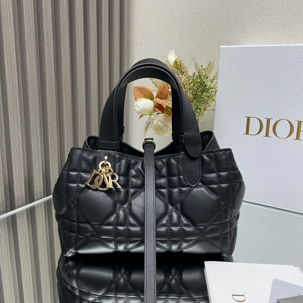 small D*or toujours bag(high-end grade)