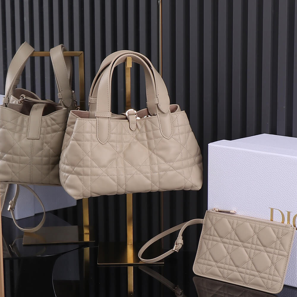 small D*or toujours bag(high-end grade)