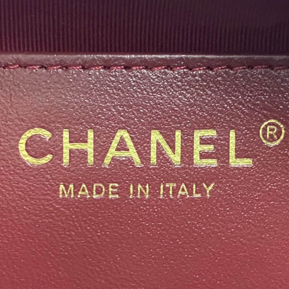 Ch*el mini camera case